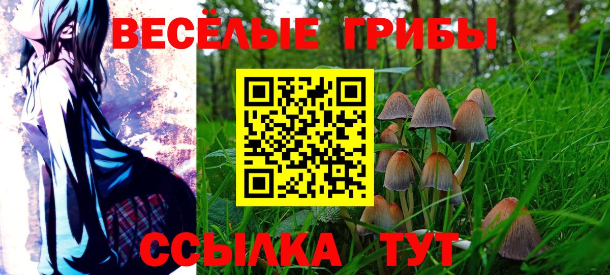 Псилоцибиновые грибы Magic Shrooms Рубцовск