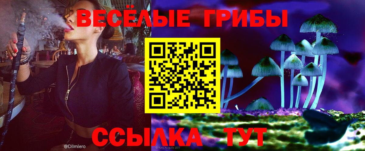 Псилоцибиновые грибы Cubensis  Вход с VPN  Рубцовск  Псилоцибиновые грибы GOLDEN TEACHER 